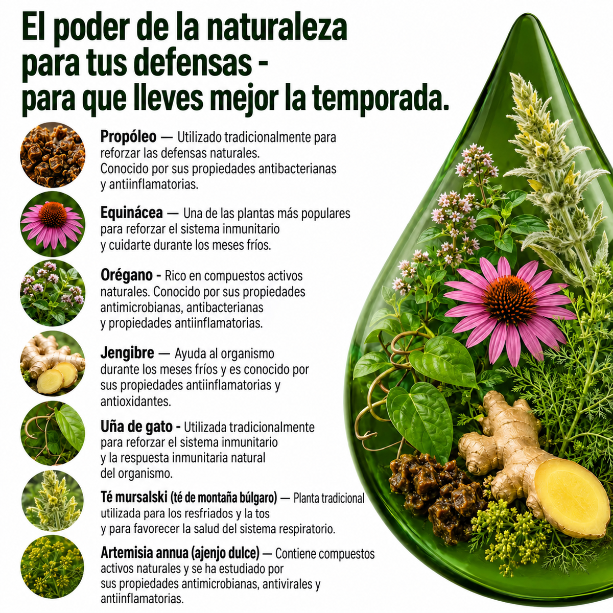 Programa antiviral – tintura de 100 ml