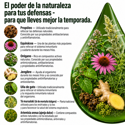 Programa antiviral – tintura de 100 ml
