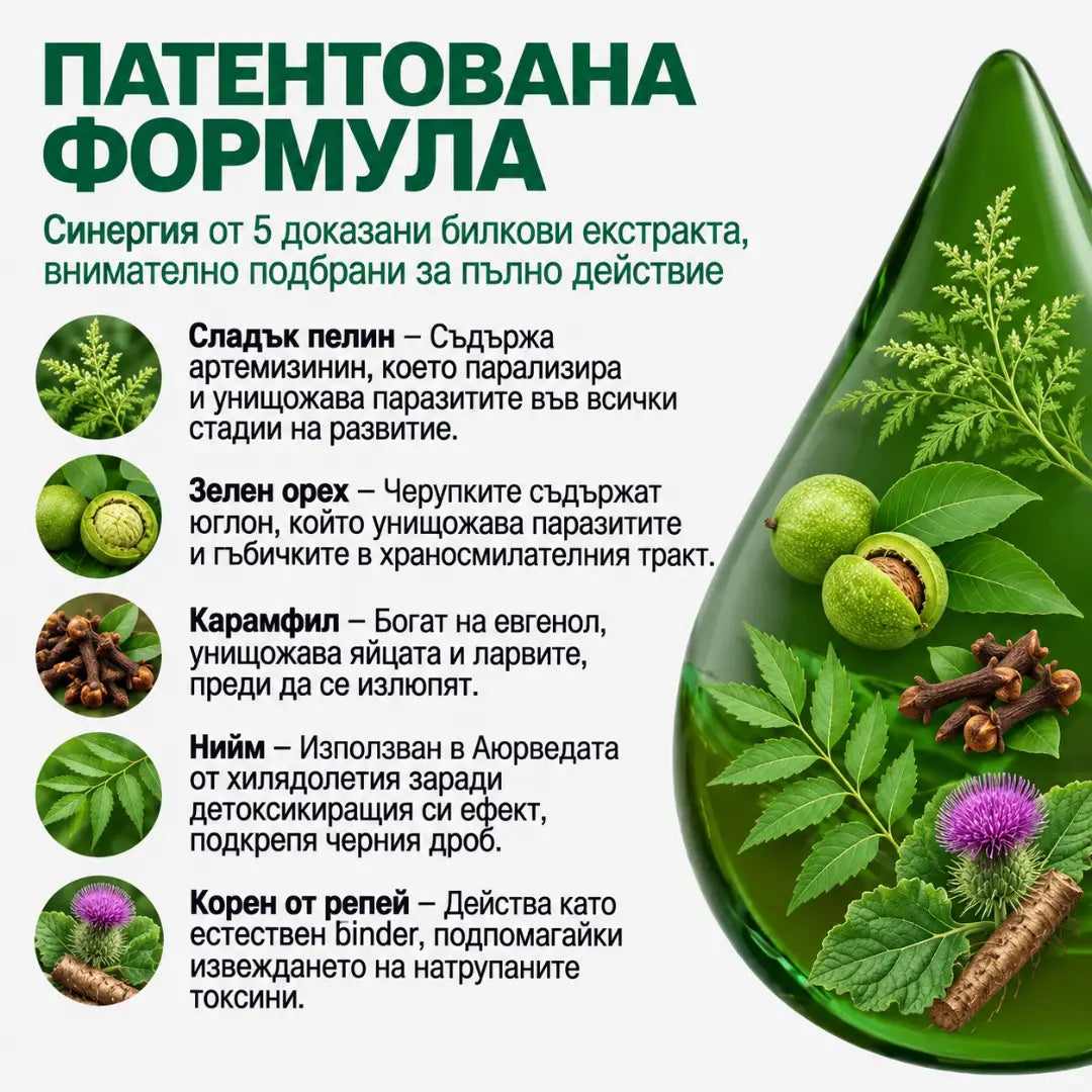 Programa antiparasitario – tintura de 100 ml