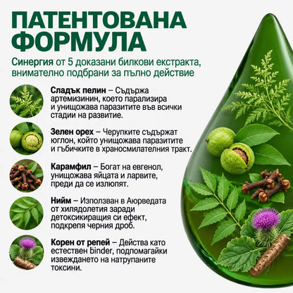 Programa antiparasitario – tintura de 100 ml