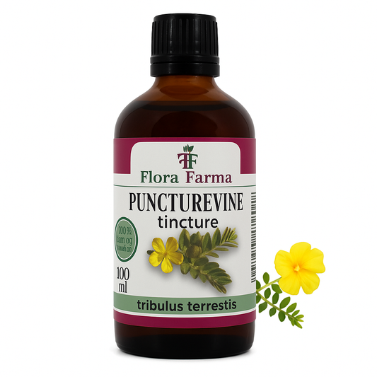 Tribulus terrestris – tintura de 100 ml